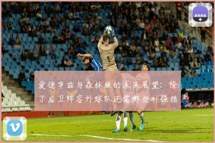 爱德华兹与森林狼的未来展望：除了后卫阵容外球队还需哪些补强措施