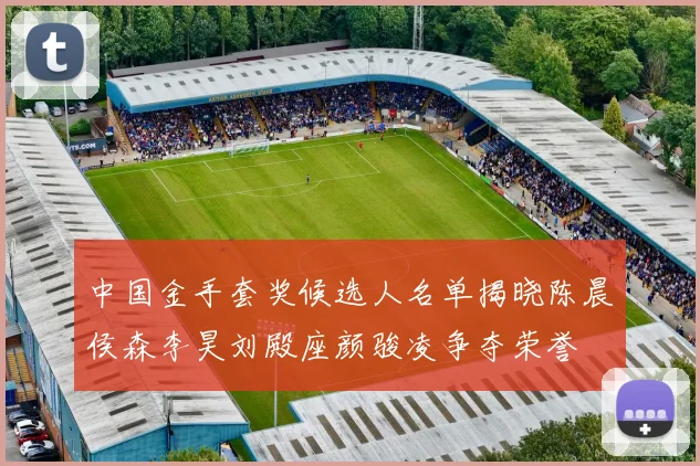 中国金手套奖候选人名单揭晓陈晨侯森李昊刘殿座颜骏凌争夺荣誉