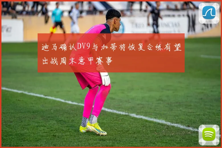 迪马确认DV9与加蒂将恢复合练有望出战周末意甲赛事
