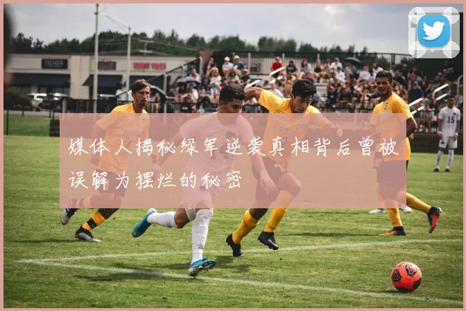 媒体人揭秘绿军逆袭真相背后曾被误解为摆烂的秘密