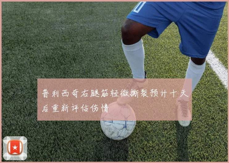 普利西奇右腿筋轻微撕裂预计十天后重新评估伤情