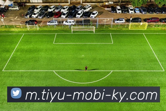 Shams预测比卢普斯与罗齐尔案件将在未来六到十二个月内无明确结果